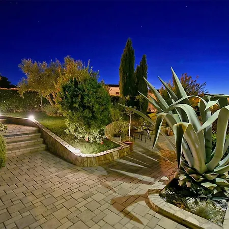 Villa House Jelena 440 *