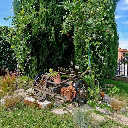 House Jelena 440 Villa