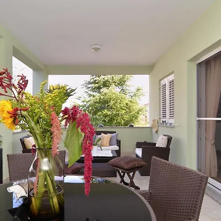 Villa House Jelena 440 *